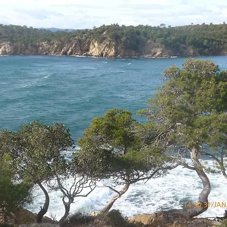 Front De Mer *