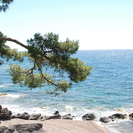 Front De Mer *
